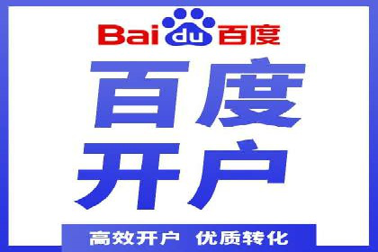 某电商平台的SEM运营实战与效果分析